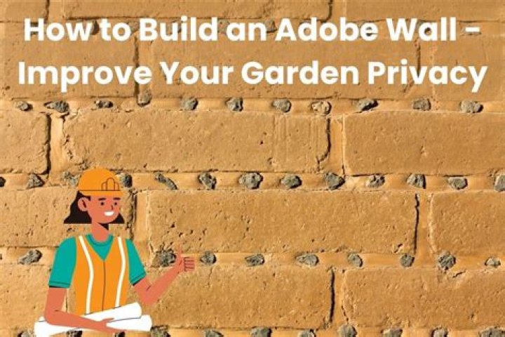 Adobe Wall Cost - How To Discuss