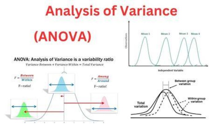 Analysis of variances (ANOVA) - How To Discuss
