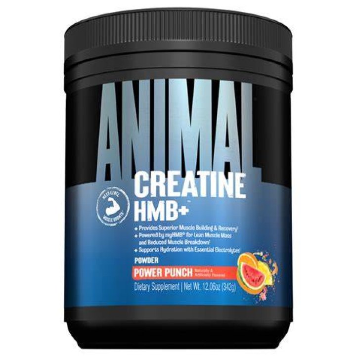 Animal Pak Creatine - How To Discuss
