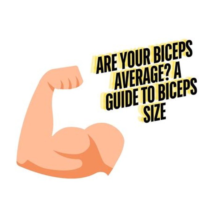 Average Bicep Size - How To Discuss