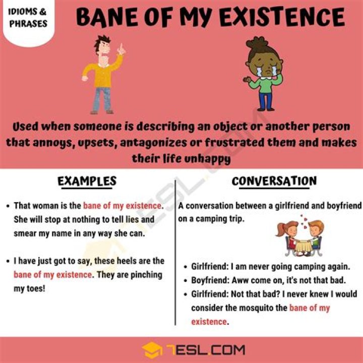 Bane Of My Existence Meaning