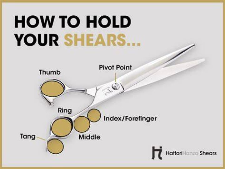 Best hair cutting shears - How To Discuss