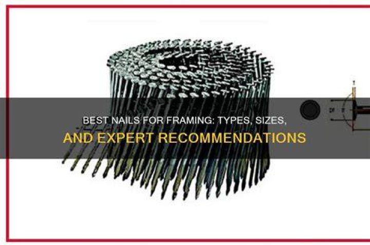 Best Nails For Framing Shed