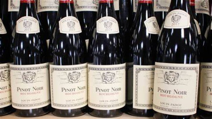 Best oregon pinot noir - How To Discuss