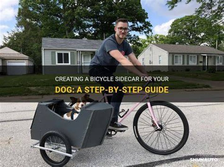 Bicycle sidecar - How To Discuss