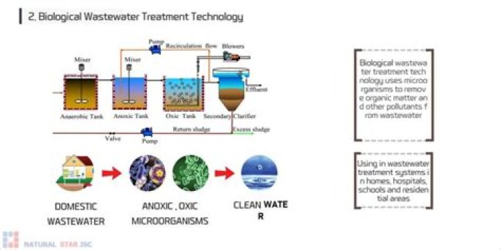 Biological treatment - How To Discuss