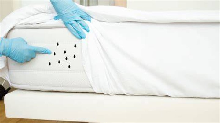 Blackhawk Mattress - How To Discuss