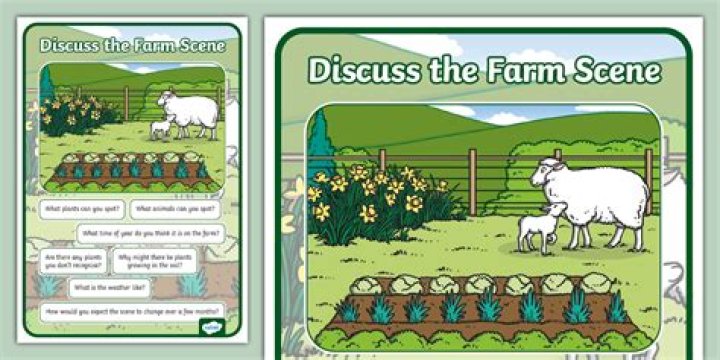 Blog Farm - How To Discuss