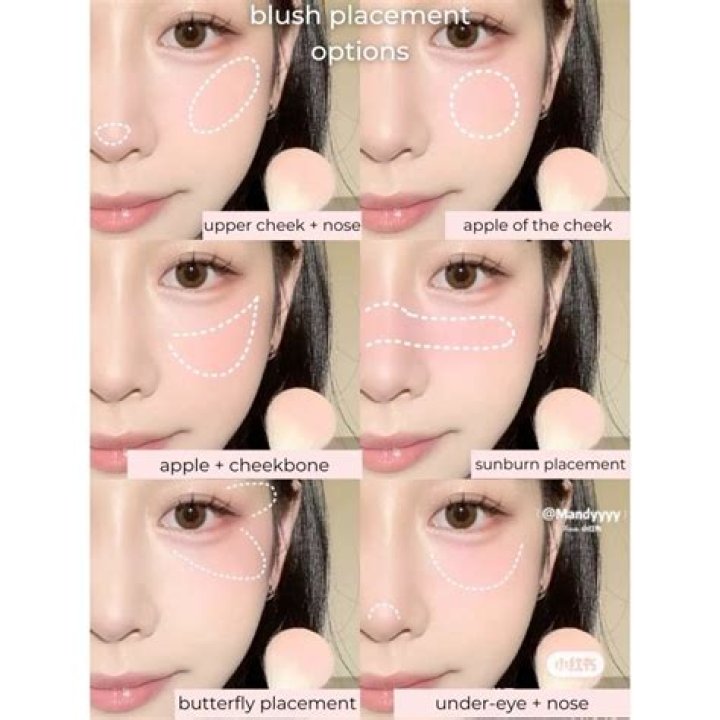 Blush brush - How To Discuss