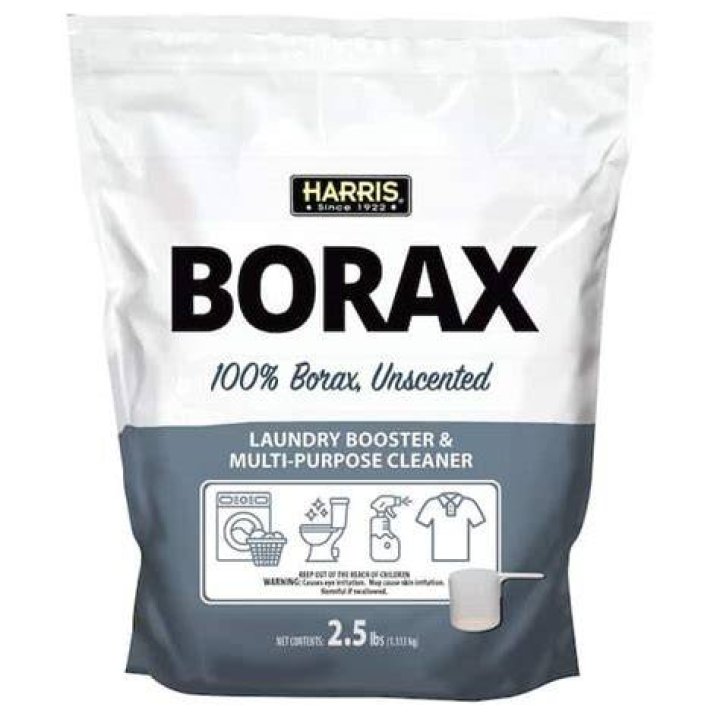 Borax Home Depot - How To Discuss