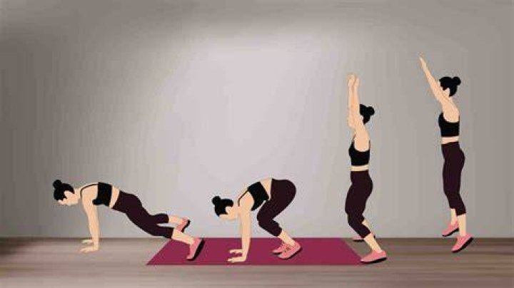 Burpee Catalog - How To Discuss
