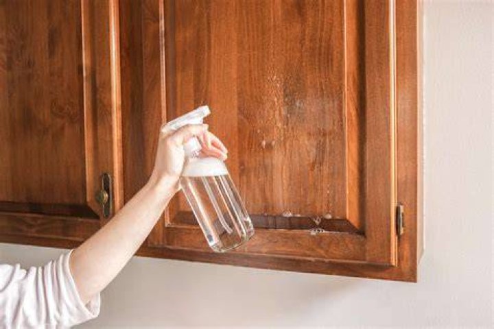 Cabinet degreaser - How To Discuss