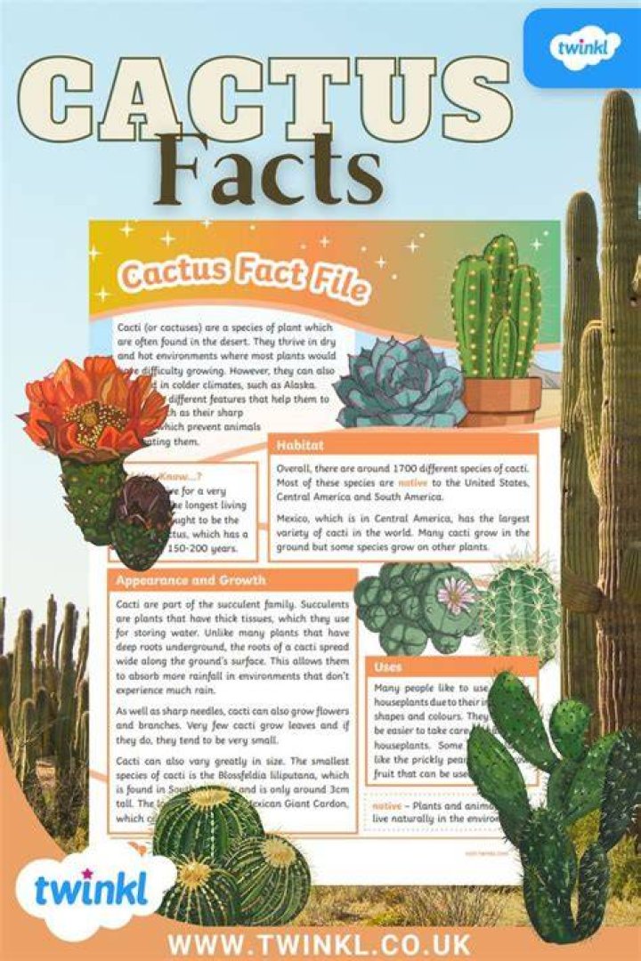 Cactus facts - How To Discuss
