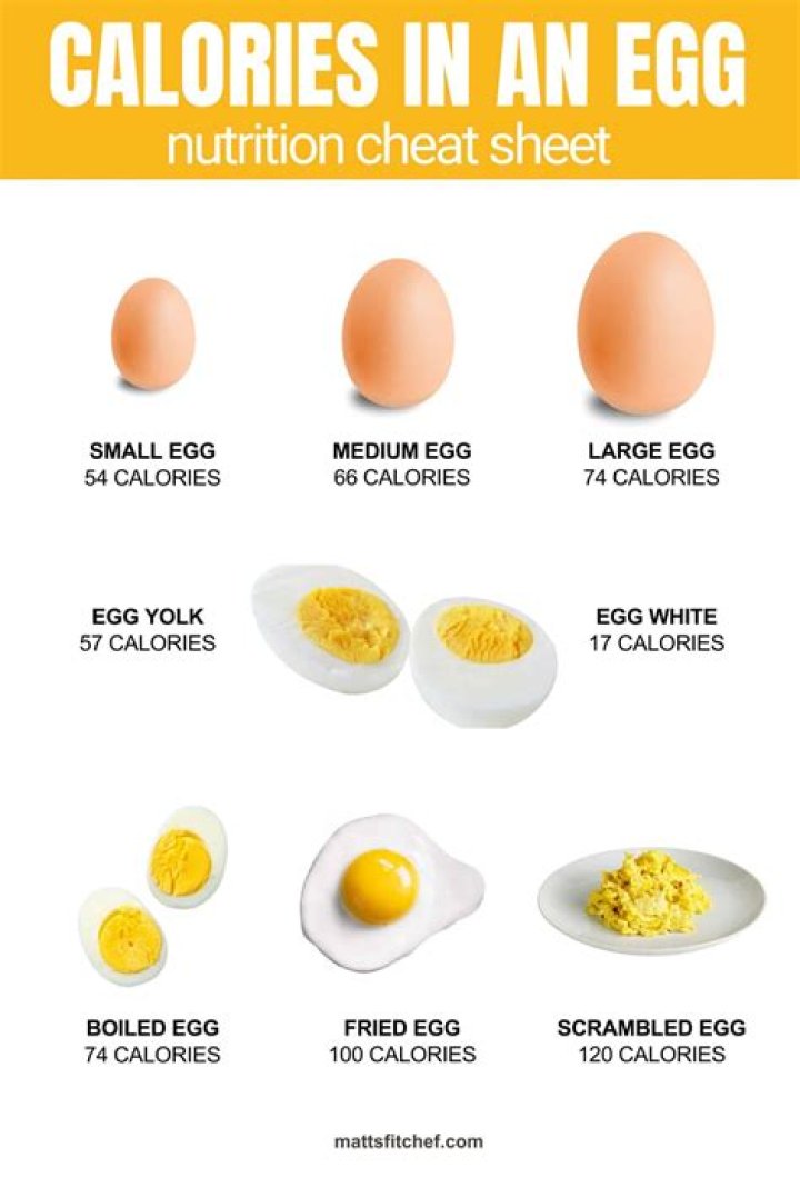 Calories in one egg - How To Discuss