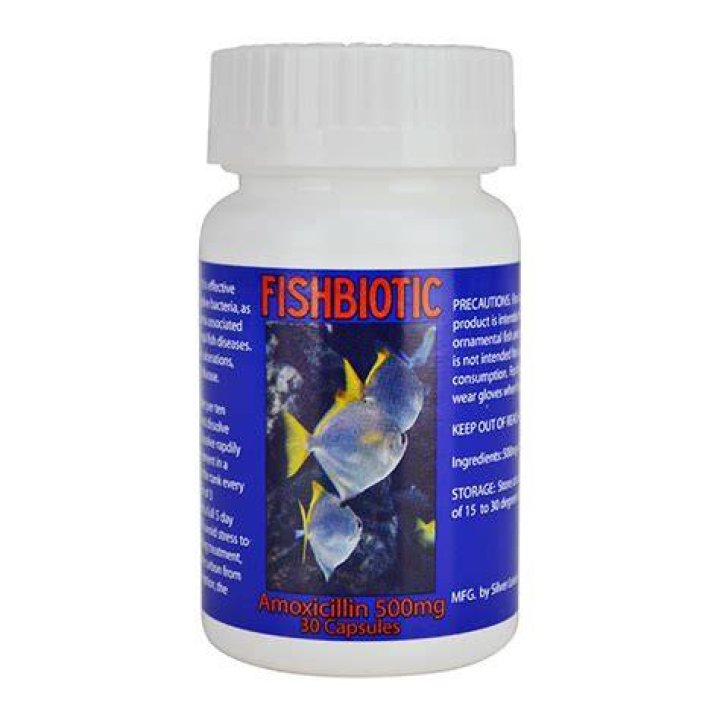 Can Dogs Take Fish Antibiotics