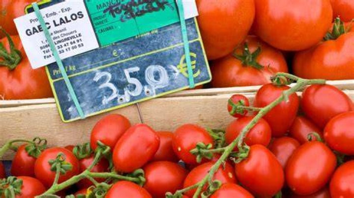 Can You Buy Green Tomatoes At The Grocery Store