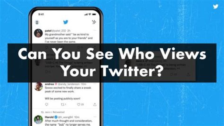 Can You See Who Views Your Twitter