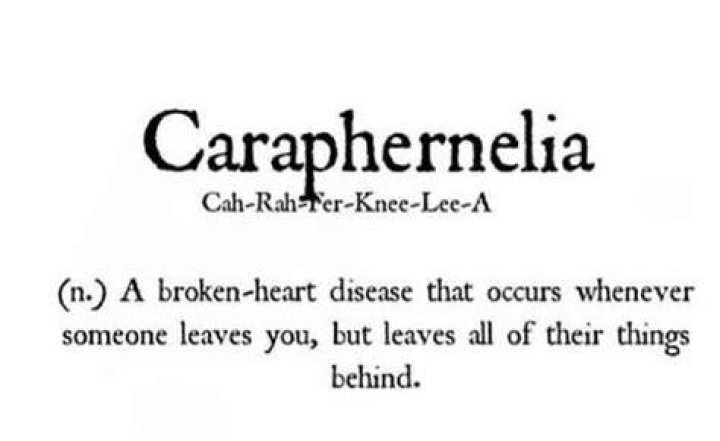 Caraphernelia Meaning - How To Discuss
