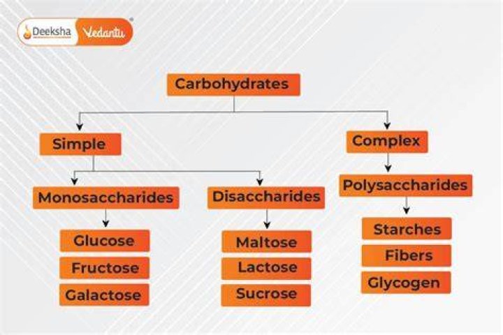 Carbohydrates in milk - How To Discuss