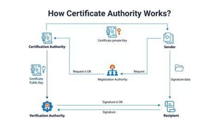 Certificate Of Authority - How To Discuss