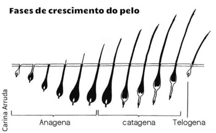 Cilios Crescem - How To Discuss
