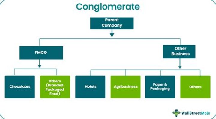Conglomerate firm - How To Discuss