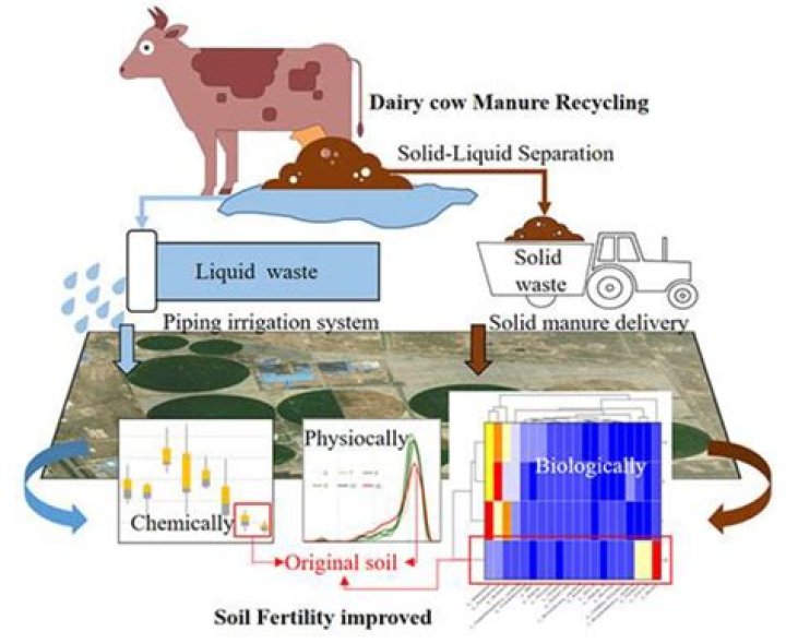 Cow manure near me - How To Discuss