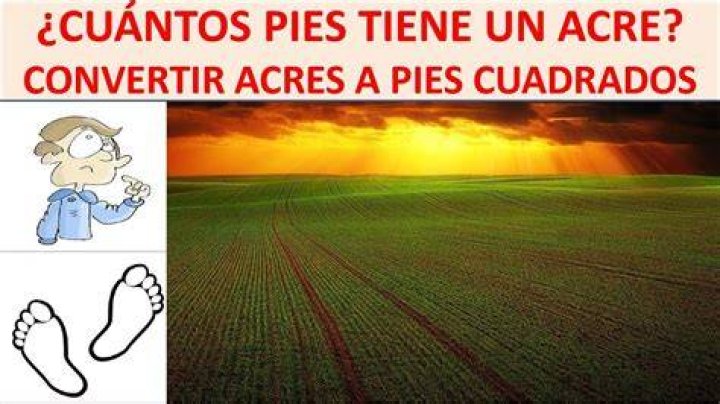 Cuantos Pies Tiene Un Acre