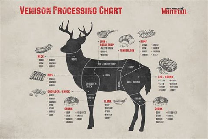 Deer Tenderloin Temp - How To Discuss