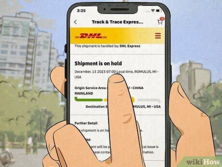 Dhl Shipment On Hold - How To Discuss