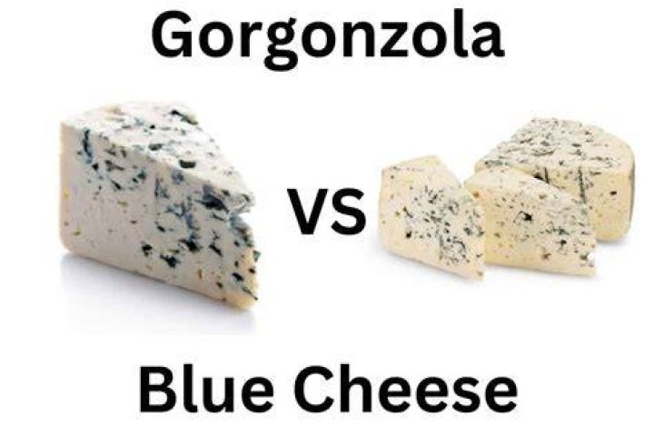 Difference Between Gorgonzola And Blue Cheese
