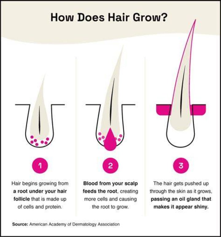 Do Braids Help Your Hair Grow