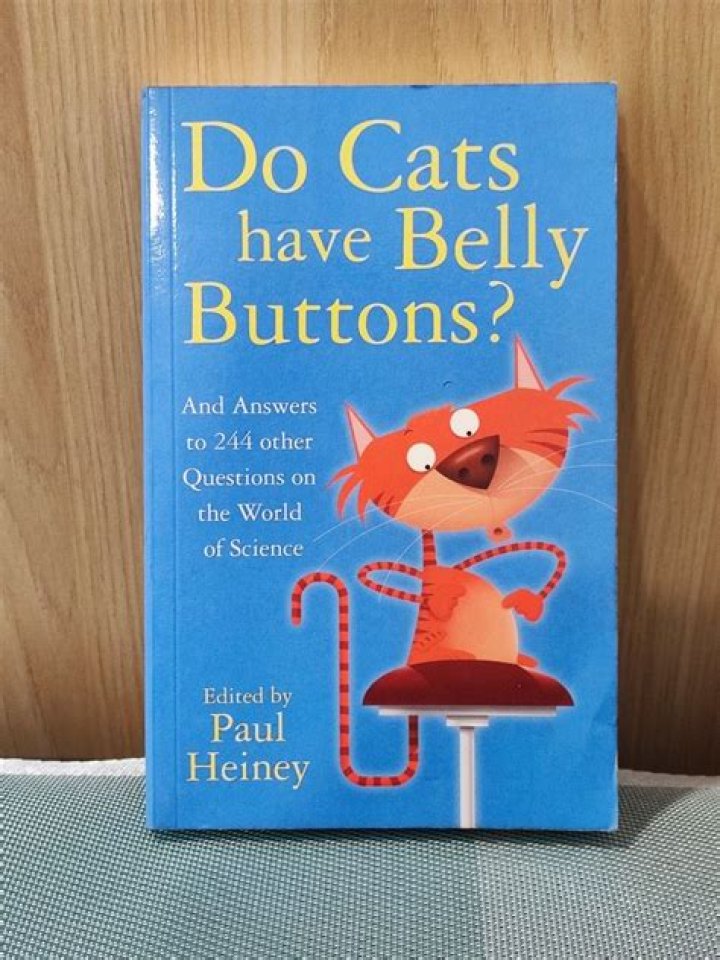 Do Cats Have Belly Buttons