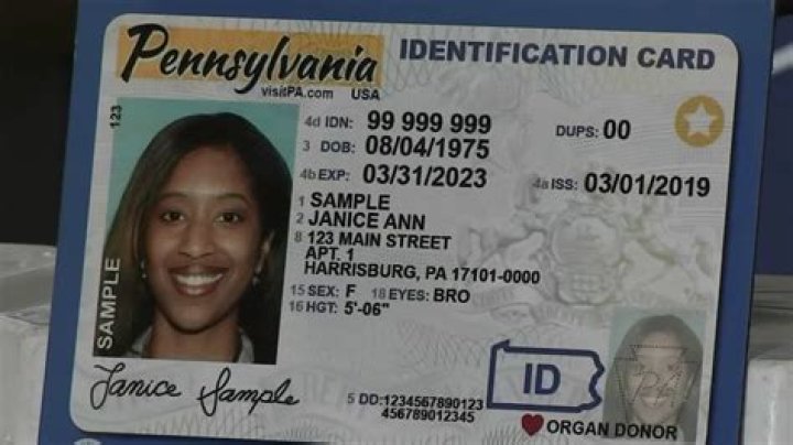 Do You Need An Id To Get Into Busch Gardens