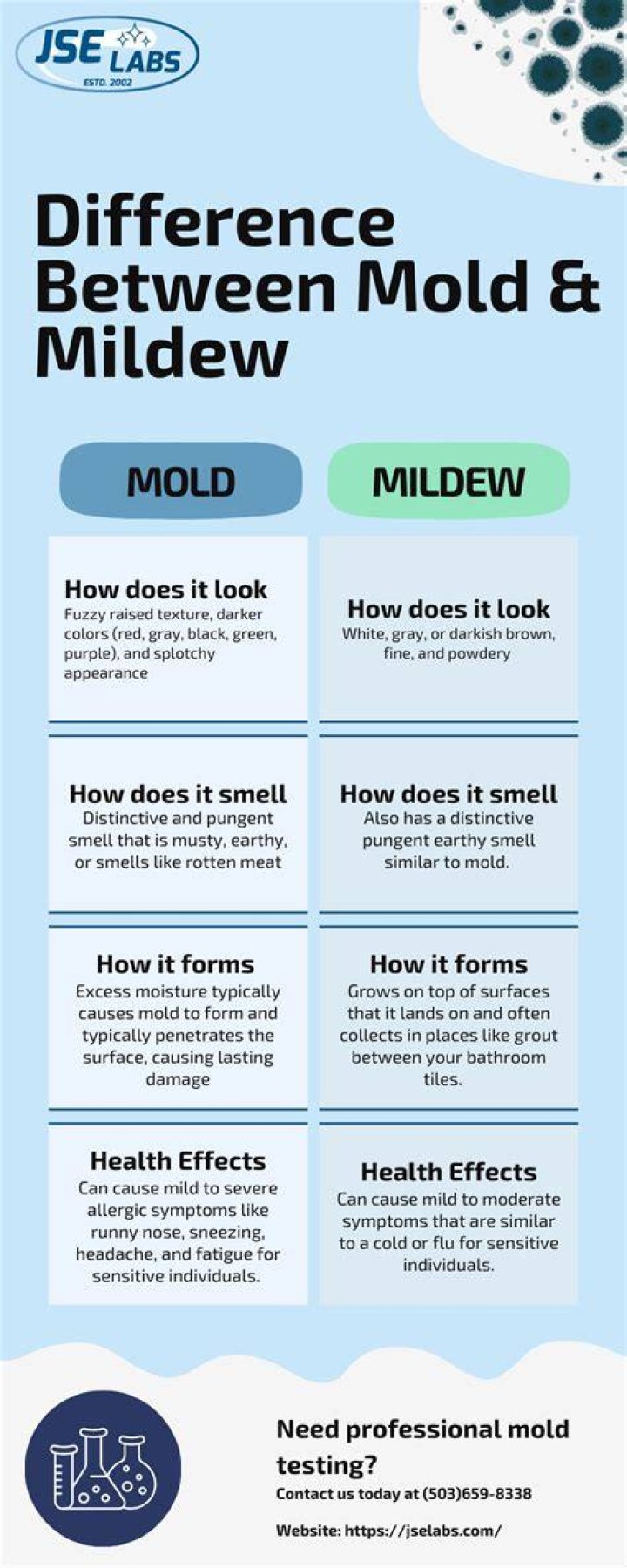 Does mold smell - How To Discuss