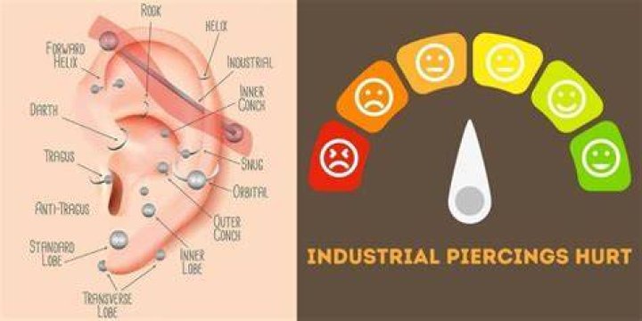 Does Piercing Pagoda Do Industrial Piercings