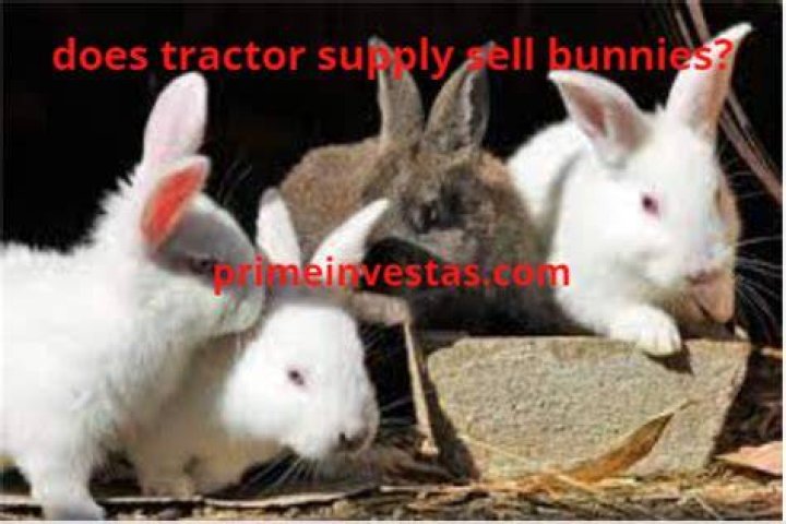 Does Tractor Supply Sell Bunnies