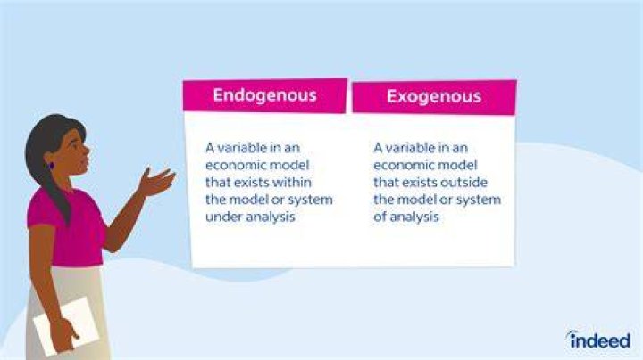 Exogenous variable - How To Discuss