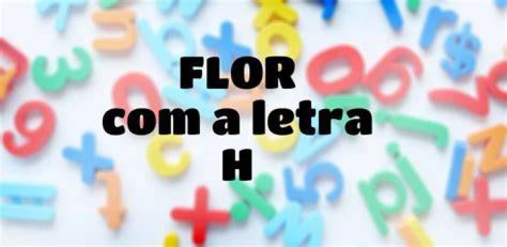 Flor Com H - How To Discuss
