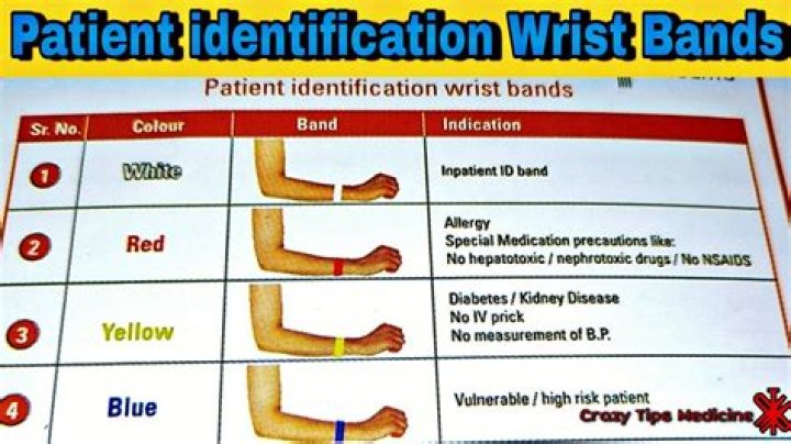 Florida State Wristbands - How To Discuss