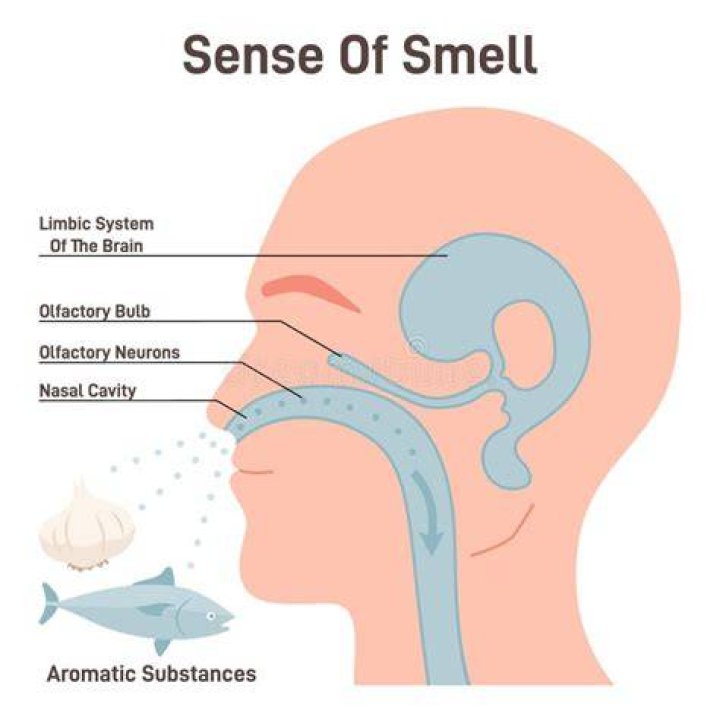 Good smell - How To Discuss