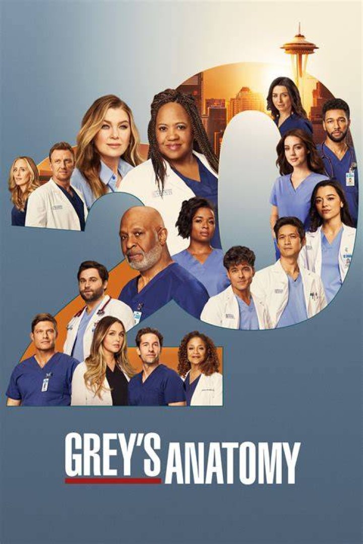 Grey's anatomy season 17 - How To Discuss