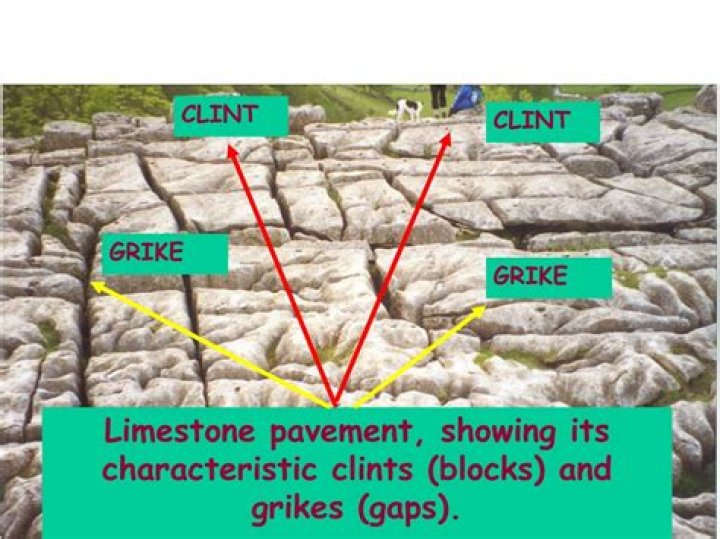 Gryke Definition Geography - How To Discuss