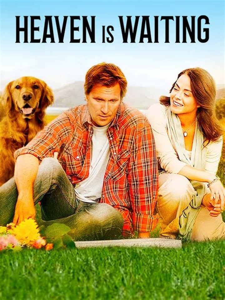 Heaven Is Waiting Movie - How To Discuss