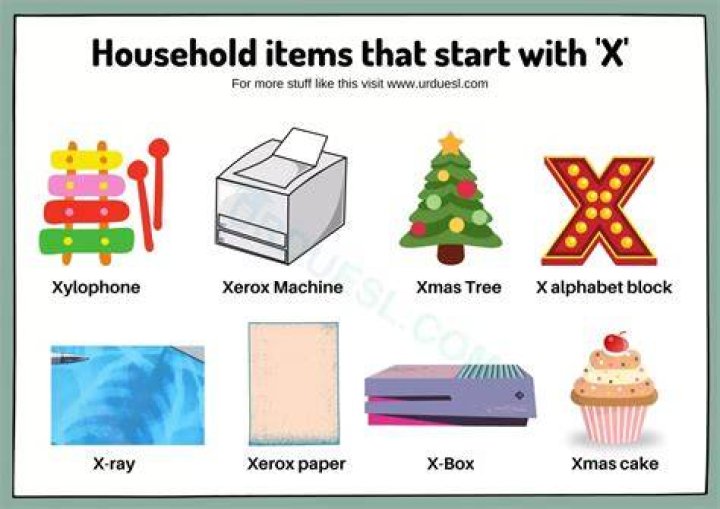 Household Items That Start With X