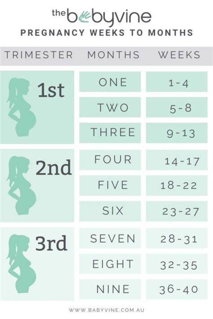 How Long Is 4 Weeks