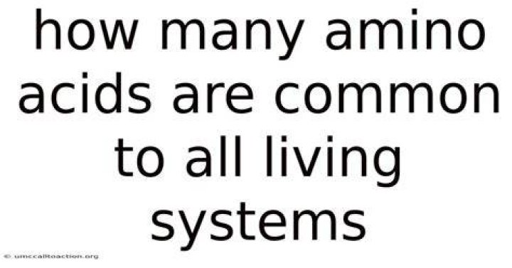 How Many Amino Acids Are Common To All Living Systems