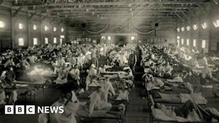 How many people died from the spanish flu
