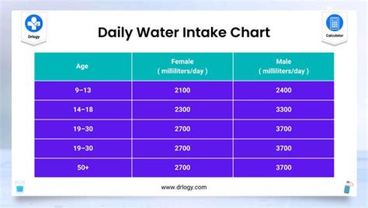 How Much Water Does A Hummingbird Drink In A Day