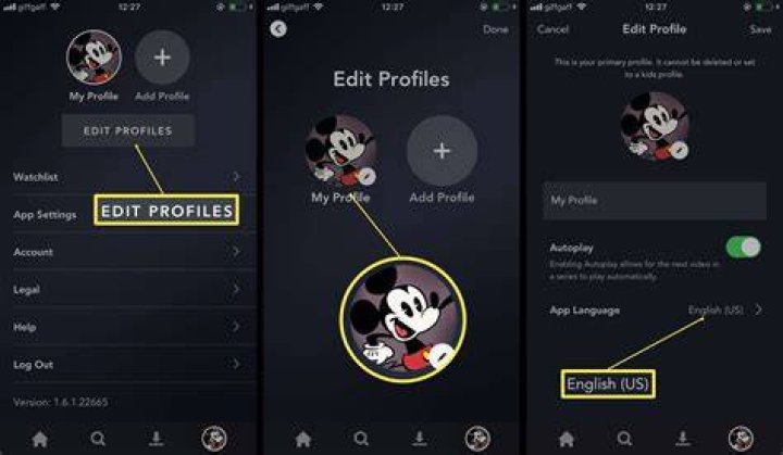 How to change the language on disney plus